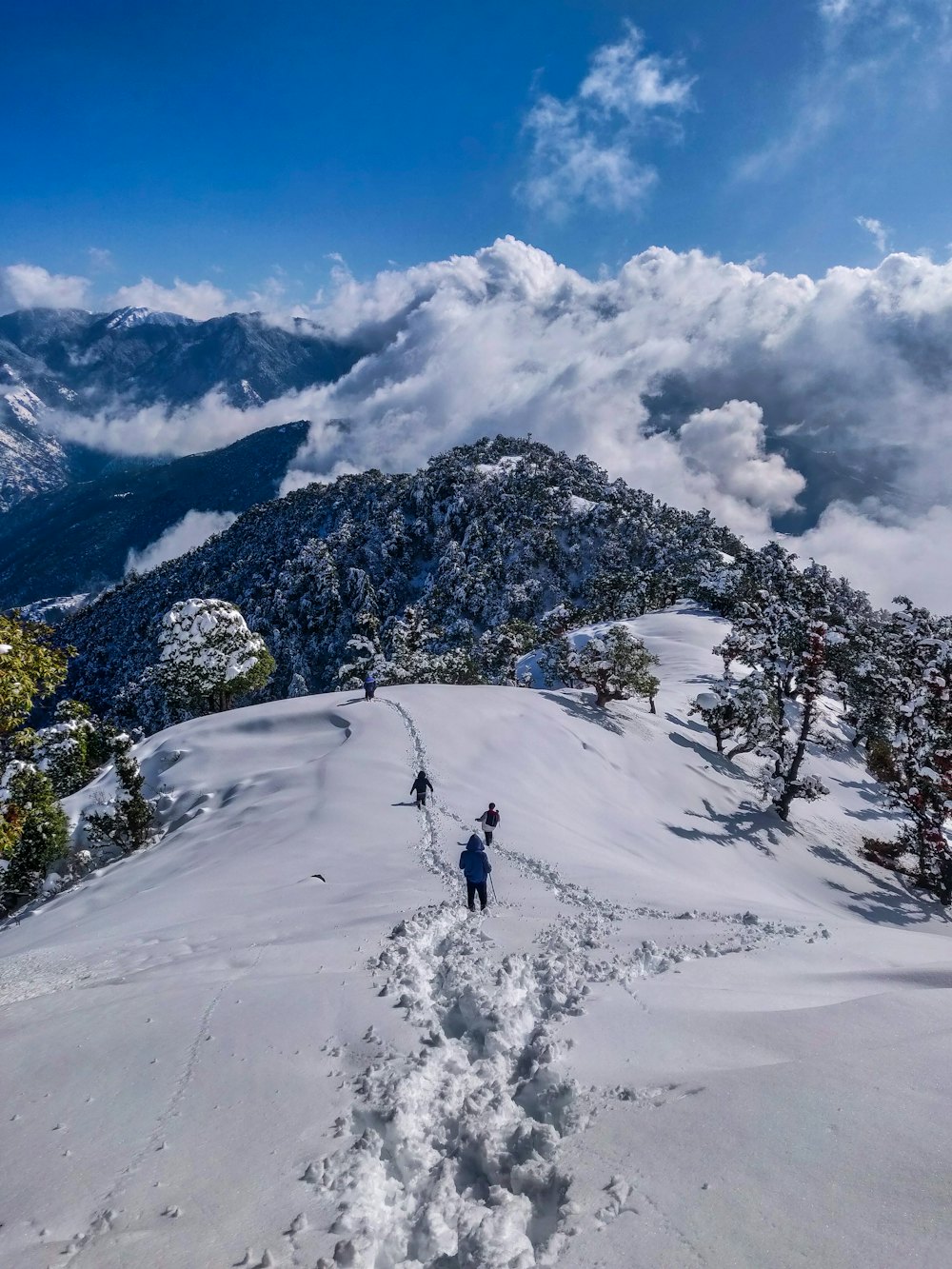 Snow peaks of Himachal